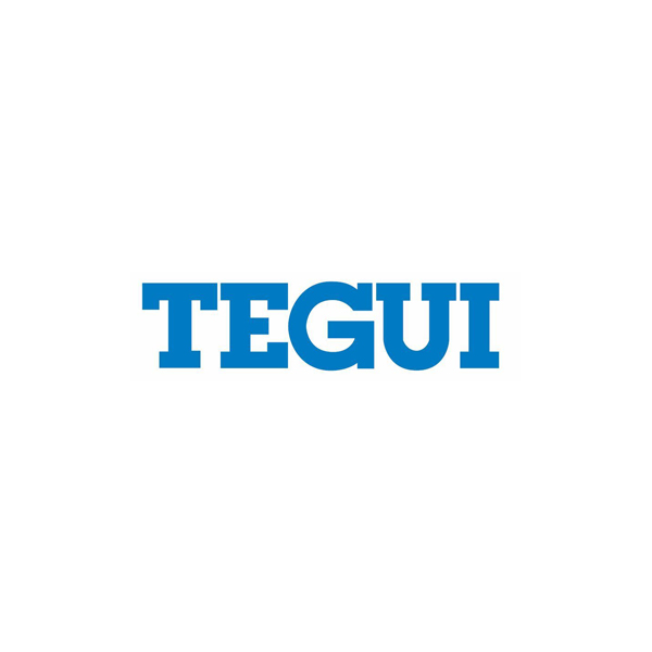 14_TEGUI
